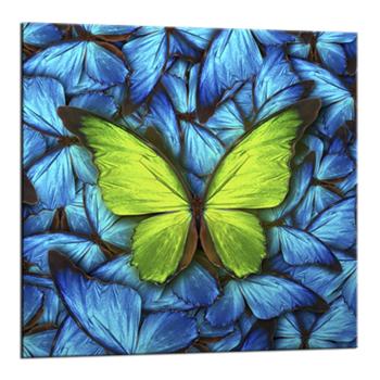 Tablou Styler Glasspik Blue Butterfly, 20 x 20 cm