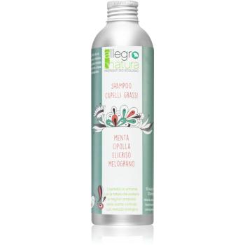 Allegro Natura Organic șampon pentru păr gras 250 ml