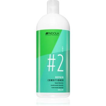 Indola Repair balsam pentru indreptare pentru utilizarea de zi cu zi 1500 ml