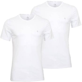 Calvin Klein 2 PACK - tricou pentru bărbați NB2221A-100 S