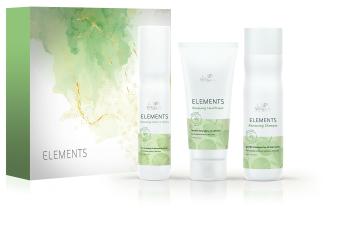 Wella Professionals Set cadou pentru îngrijirea părului Elements Kit