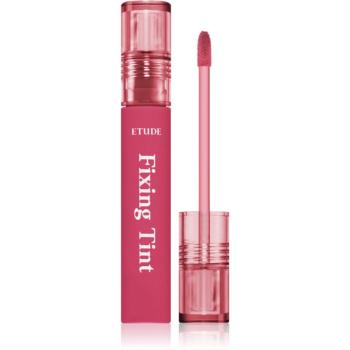 ETUDE Fixing Tint ruj cu persistență îndelungată cu efect mat culoare #11 Rose Blending 4 g