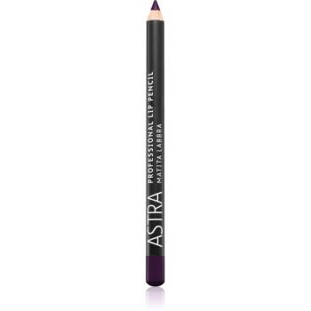 Astra Make-up Professional Lip Pencil creion contur buze culoare 45 Purple Spell 1,1 g