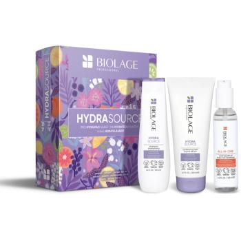 Biolage Bond Therapy Hydra Source set cadou (pentru par deteriorat)