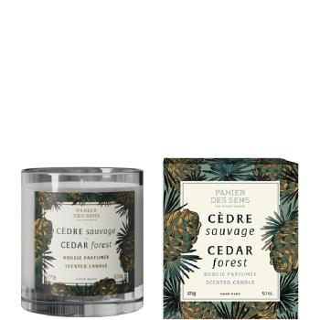 Panier des Sens Lumânare parfumată Home Cedar Forest (Scented Candle) 275 g