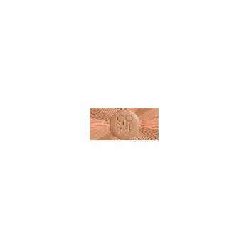 Guerlain Pudră bronzer cu efect de iluminare Terracotta Light (Powder) 10 g 01 Clair Doré