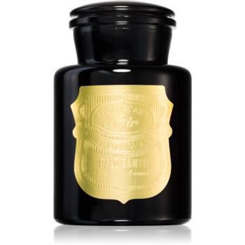 Paddywax Apothecary Noir Palo Santo lumânare parfumată 226 g