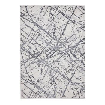 Covor gri deschis 160x230 cm Artemis – Think Rugs