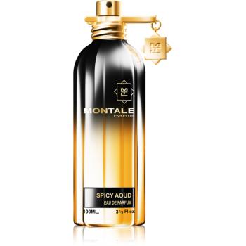 Montale Spicy Aoud Eau de Parfum unisex 100 ml