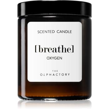 Ambientair The Olphactory Oxygen lumânare parfumată (brown) Breathe 135 g