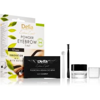 Delia Cosmetics Eyebrow Expert vopsea de sprancene culoare 1.0 Black 4 g