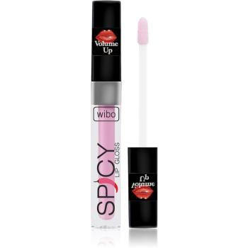 Wibo Lip Gloss Spicy luciu de buze pentru un volum suplimentar 19 3 ml