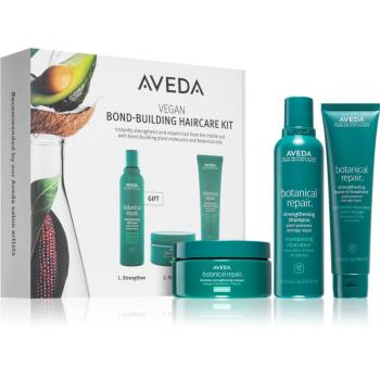 Aveda Botanical Repair™ Regional Set set cadou (de par si de corp)