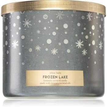 Bath & Body Works Frozen Lake lumânare parfumată 411 g