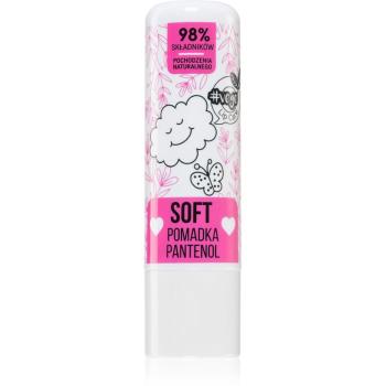 FlosLek Laboratorium Vege Lip Care Soft balsam de buze cu Panthenol 4,1 g
