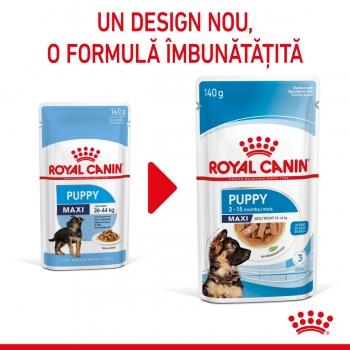 ROYAL CANIN Maxi Puppy, plic hrană umedă câini junior, (în sos), 140g