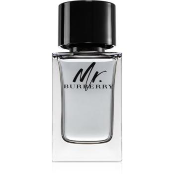 Burberry Mr. Burberry Eau de Toilette pentru bărbați 100 ml