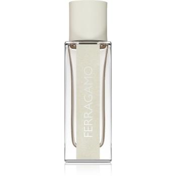 Ferragamo Ferragamo Bright Leather Eau de Toilette pentru bărbați 30 ml