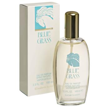 Elizabeth Arden Blue Grass - EDP 100 ml