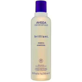 Aveda Brilliant™ Shampoo șampon pentru parul tratat chimic 250 ml