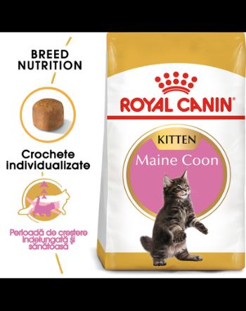 Royal Canin Maine Coon Kitten hrana uscata pisica junior, 2 kg