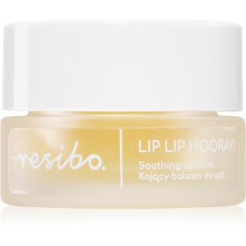 Resibo Lip Lip Hooray! Shooting Lip Balm balsam de buze ultra-hidratant 7 ml