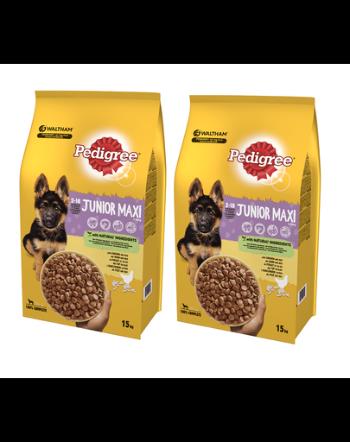 PEDIGREE Junior Hrana uscata pentru caini junior de talie mare, cu pui si orez 2x15kg