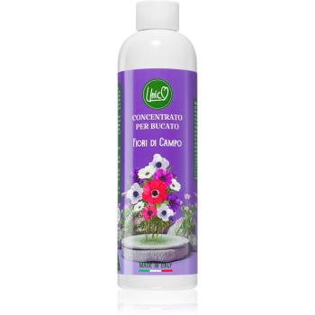 THD Unico Wild Flowers parfum concentrat pentru mașina de spălat 200 ml