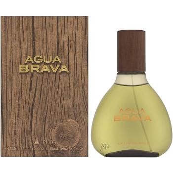 Antonio Puig Agua Brava - EDC 100 ml