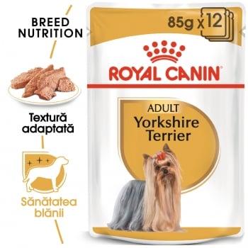 Royal Canin Yorkshire Terrier Adult, bax hrană umedă câini (pate), 85g x 12