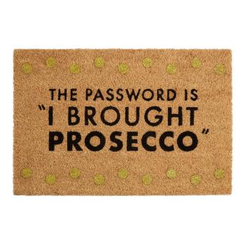 Covoraș de intrare din fibre de nucă de cocos 40x60 cm Prosecco – Premier Housewares