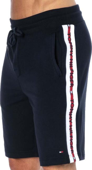 Tommy Hilfiger Pantaloni scurți pentru bărbați UM0UM01938-DW5 L