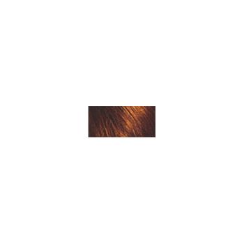 Schwarzkopf Vopsea permanentă de păr Palette  6-70 (667) Copper Mahogany
