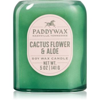 Paddywax Vista Cactus Flower & Aloe lumânare parfumată 142 g