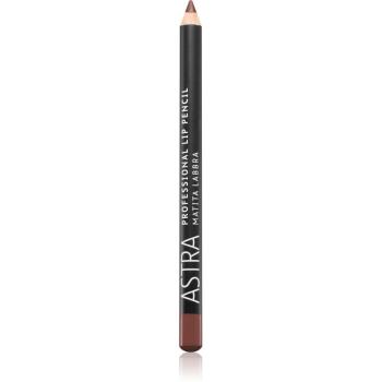 Astra Make-up Professional Lip Pencil creion contur buze culoare 41 Wood 1,1 g