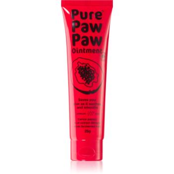 Pure Paw Paw Ointment Balsam pentru buze crapate si pielea uscata 25 g