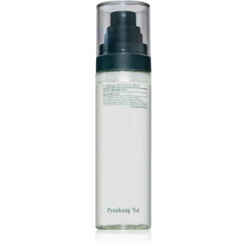 Pyunkang Yul Calming Moisture Mist lotiune calmanta dupa bronzare pentru ten uscat și sensibil 100 ml