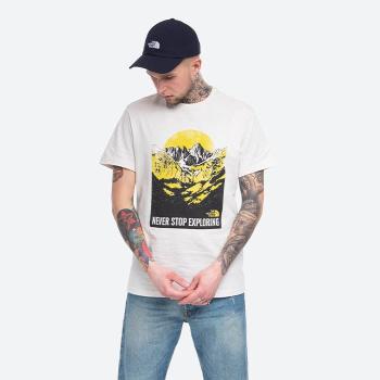 The North Face S/S Natural Wonders Tee NF0A4T1G11P