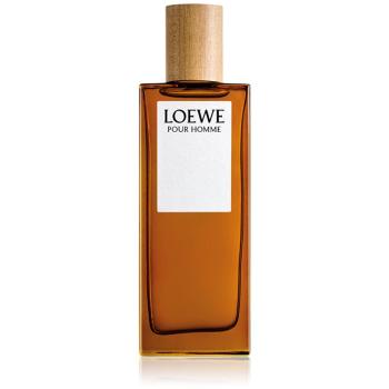 Loewe Loewe Pour Homme Eau de Toilette pentru bărbați 50 ml