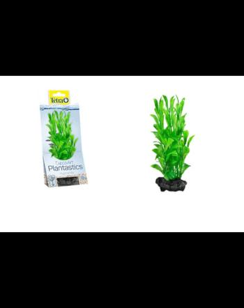 TETRA DecoArt Plant L Hygrophila 30 cm