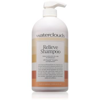 Waterclouds Relieve șampon anti matreata 1000 ml