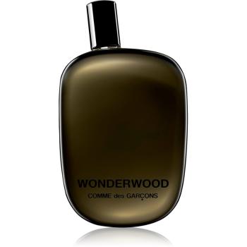Comme des Garçons Wonderwood Eau de Parfum pentru bărbați 100 ml