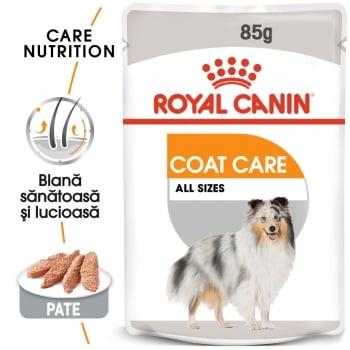Royal Canin Coat Care Adult, plic hrană umedă câini, blană sănătoasă și lucioasă, (pate), 85g