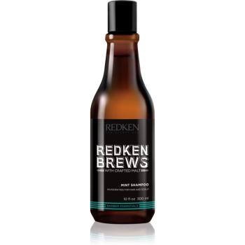 Redken Brews șampon stimulator, cu mentol, pentru păr și scalp 300 ml