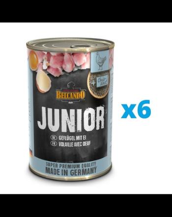 BELCANDO Super Premium Junior hrana caine junior 6x400 g pui si oua