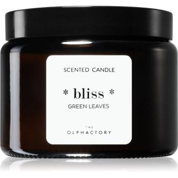 Ambientair The Olphactory Green Leaves lumânare parfumată Bliss 360 g