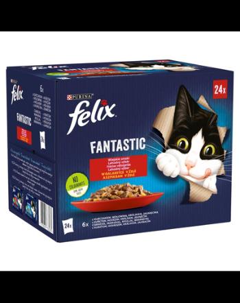 FELIX FANTASTIC Hrana umeda cu diverse tipuri de carne pentru pisici adulte 24x85g