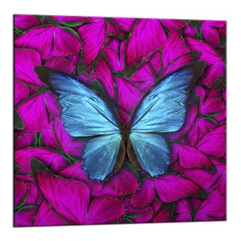 Tablou Styler Glasspik Red Butterfly, 20 x 20 cm