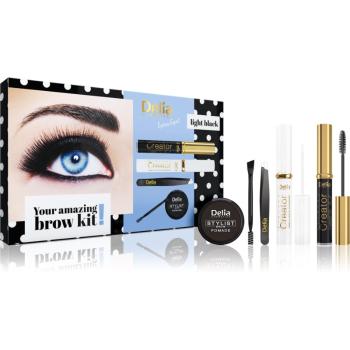 Delia Cosmetics Eyebrow Expert Light Black set cadou pentru sprancene II.