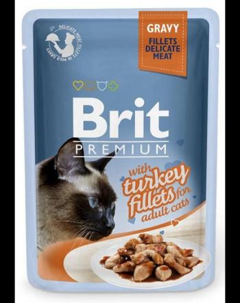 BRIT Premium Cat Fillets in Gravy 24x85 g hrana umeda pisici, curcan in supa